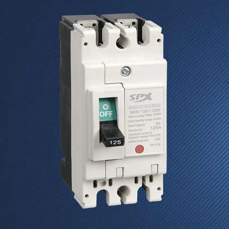 Wyłącznik automatyczny 2P 125A w obudowie formowanej